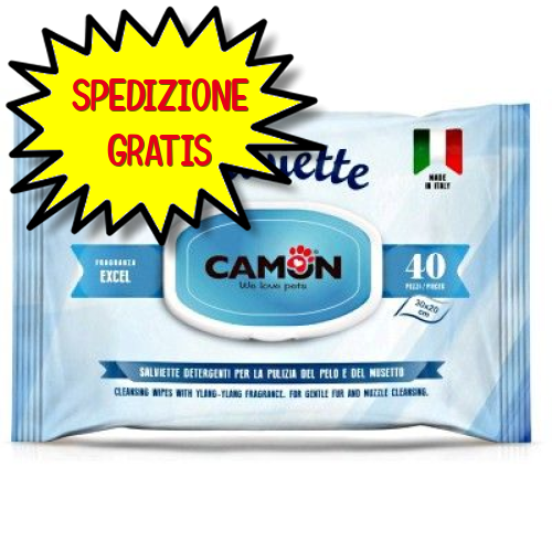CAMON SALVIETTE DETERGENTI PROFUMATE EXCEL 30 X 20 CM 40 PZ LA020