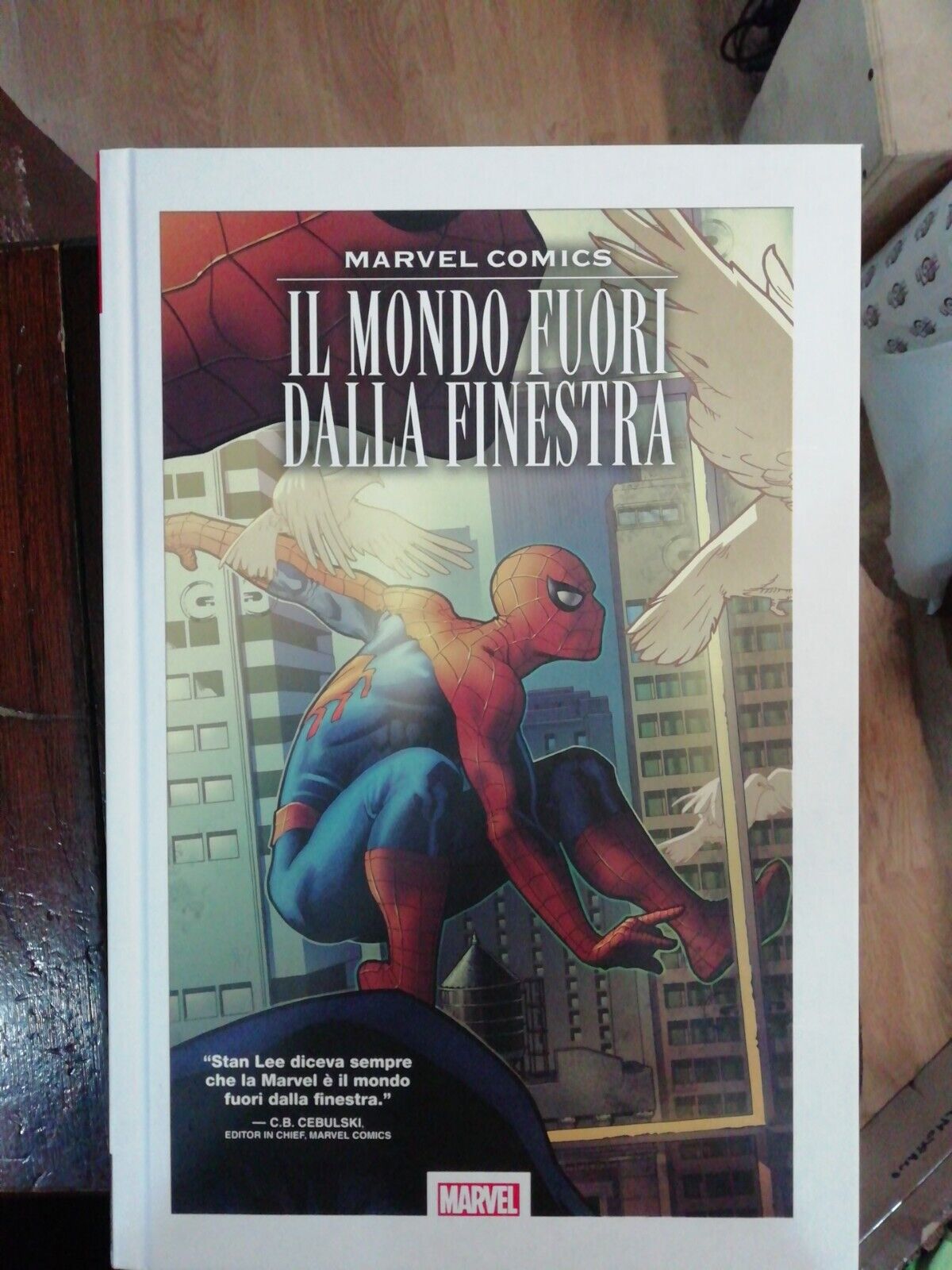Marvel Comics - Il Mondo Fuori dalla Finestra - Panini Comics - ITA MARVEL