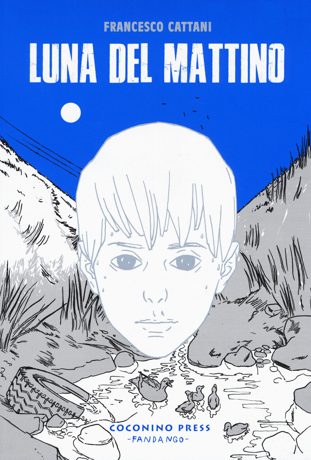 Luna del mattino - Cattani Francesco