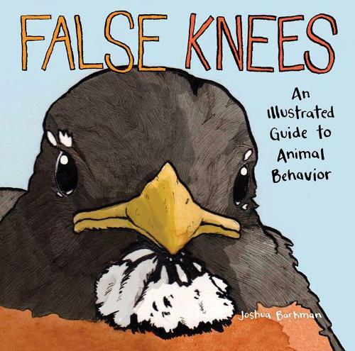 Joshua Barkman False Knees (Tascabile)