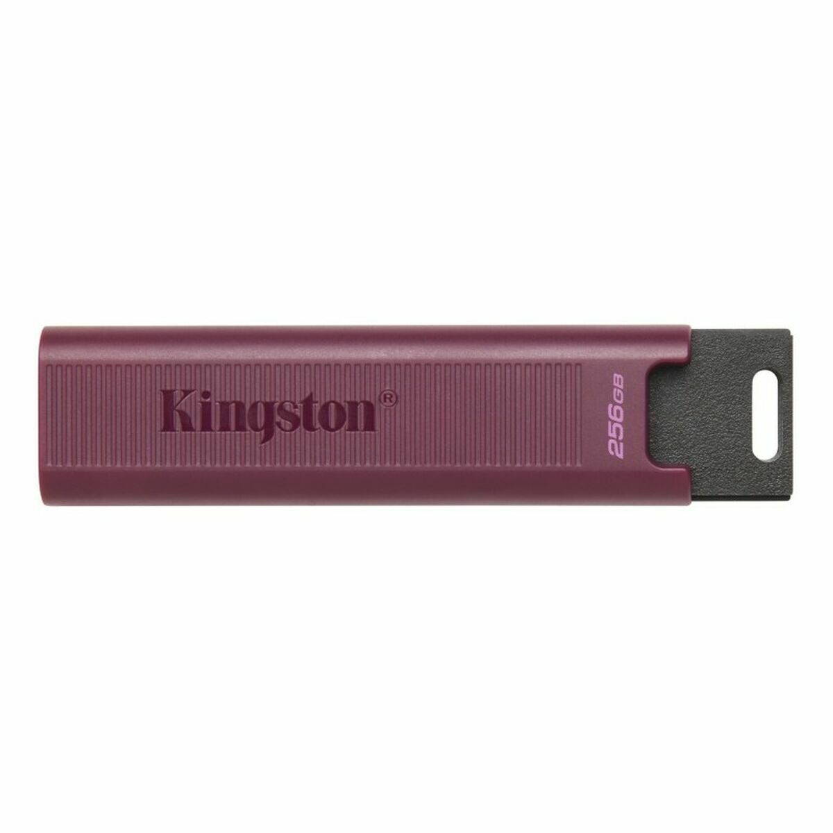 Memoria USB   Kingston Max         Rosso 256 GB