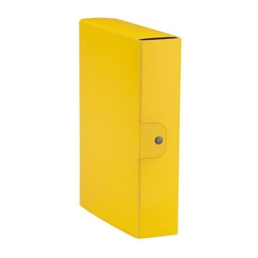 Cartella portaprogetti Esselte C90 DELSO ORDER dorso 8 cm presspan lucido 25x35
