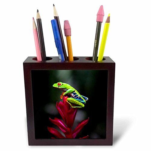 3dRose USA, Oregon, Old Growth Douglas Fir Tree in The Rainforest   Tile Pen Hol
