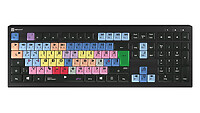 Logickeyboard LKB-MCOM4-A2PC-DE Full-size (100%) USB Tasto LKB-MCOM4-A2PC-DE