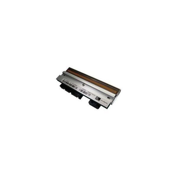 Zebra P1004234 testina stampante Thermal Transfer