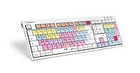 Logickeyboard LKB-PT-CWMU-DE Full-size (100%) Cablato USB LKB-PT-CWMU-DE