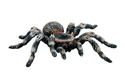 Bullyland- Tierfigur Figura Animal World-White Kneed Spider, Multicolore, (h3W)