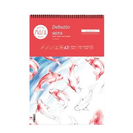 Blocco con spirale DEBUTTO CWR 50ff - 120gr formato A3 MU133393