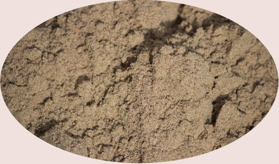 Cardamomo nero macinato - 1kg - Eder Spices Spice