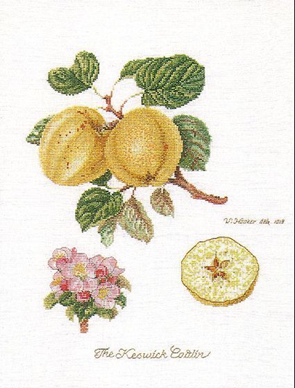 Thea gouverneur 2057 Keswick Apple Ricamo Contato Lino