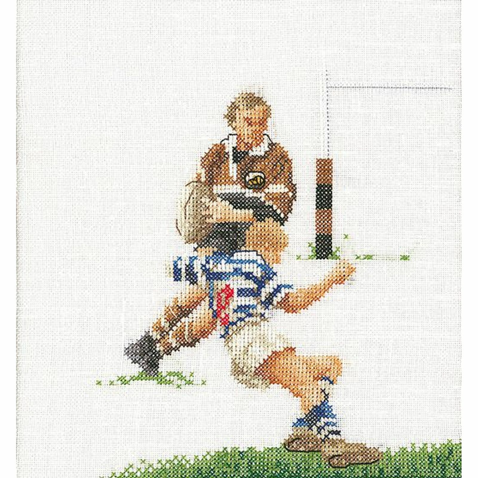 Kit a punto croce Rugby 3037A thea gouverneur Aida