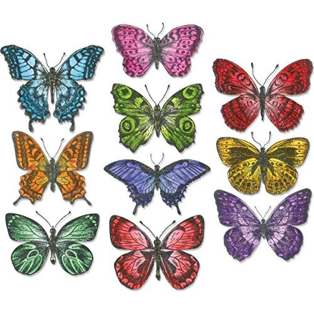 (TG. 21x10.8x0.2 cm) Sizzix 662269 Fustella Framelits Svolazzare di Tim Holtz, A