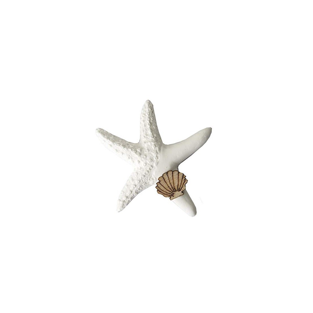 12 GESSO GESSETTO | STELLA MARINA CON CONCHIGLIA LEGNO 4X4,5 CM | BOMBONIERA APP