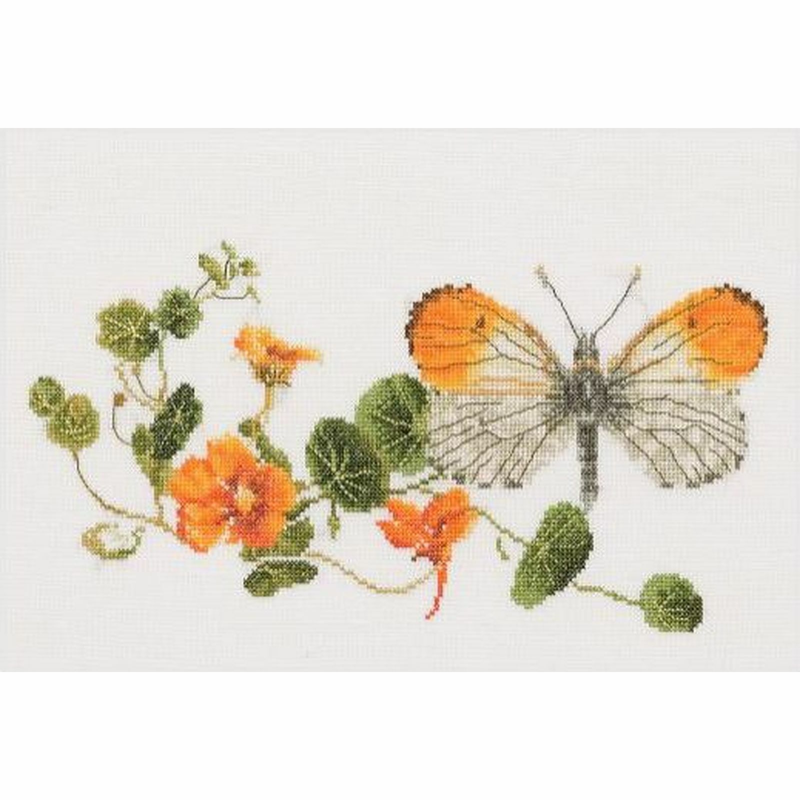 Kit a punto croce Farfalla Nasturtium 437 thea gouverneur Lino