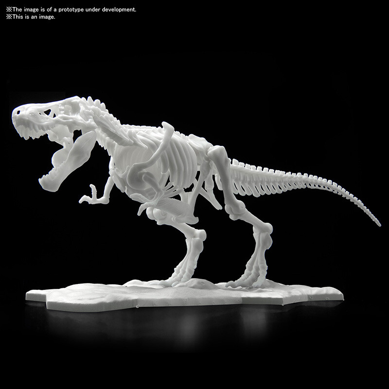 BANDAI DINOSAUR LIMEX SKELETON TYRANNOSAURUS  21cm