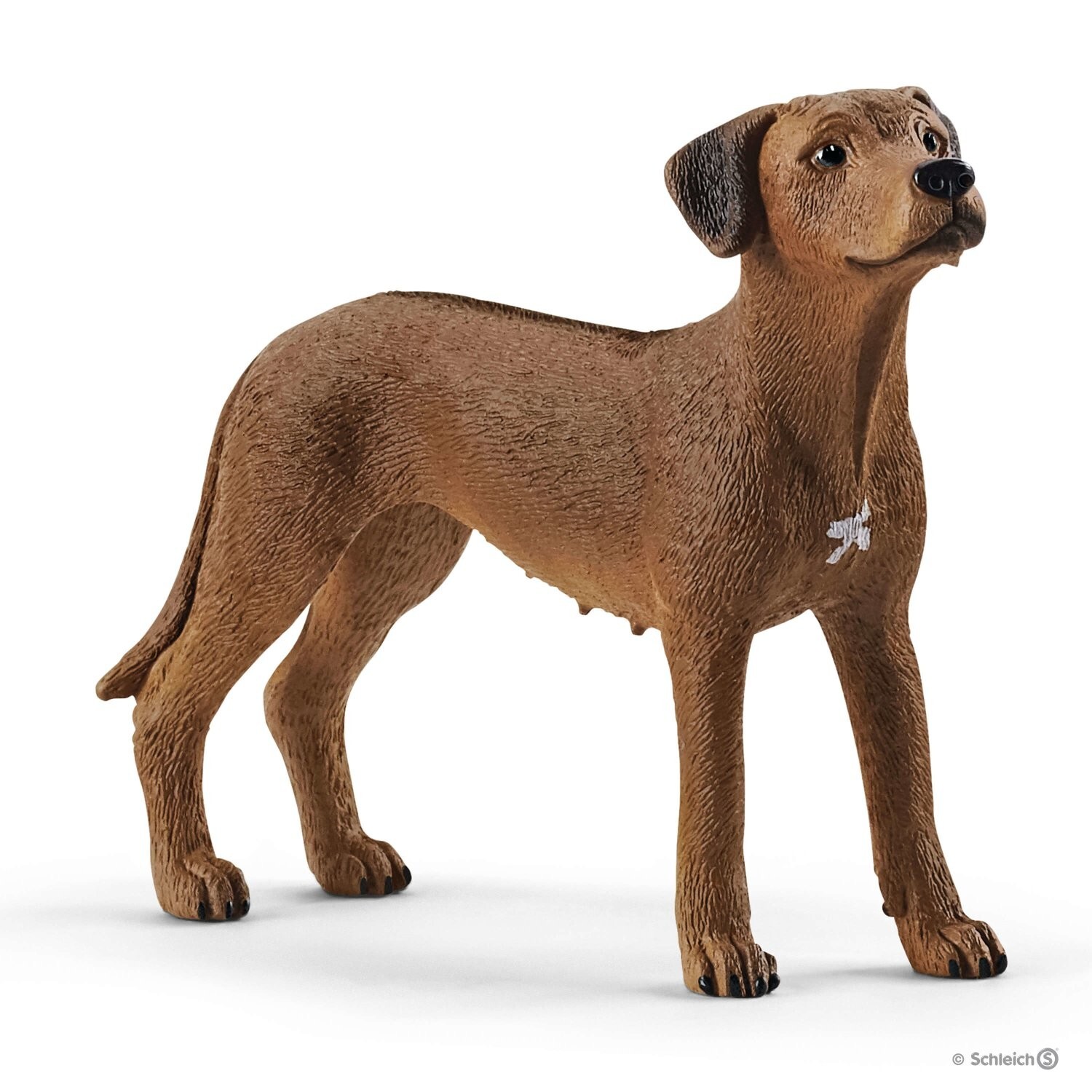 RHODESIAN RIDGEBACK cane dog FARM WORLD schleich 13895 miniatura ANIMALI DELLA F