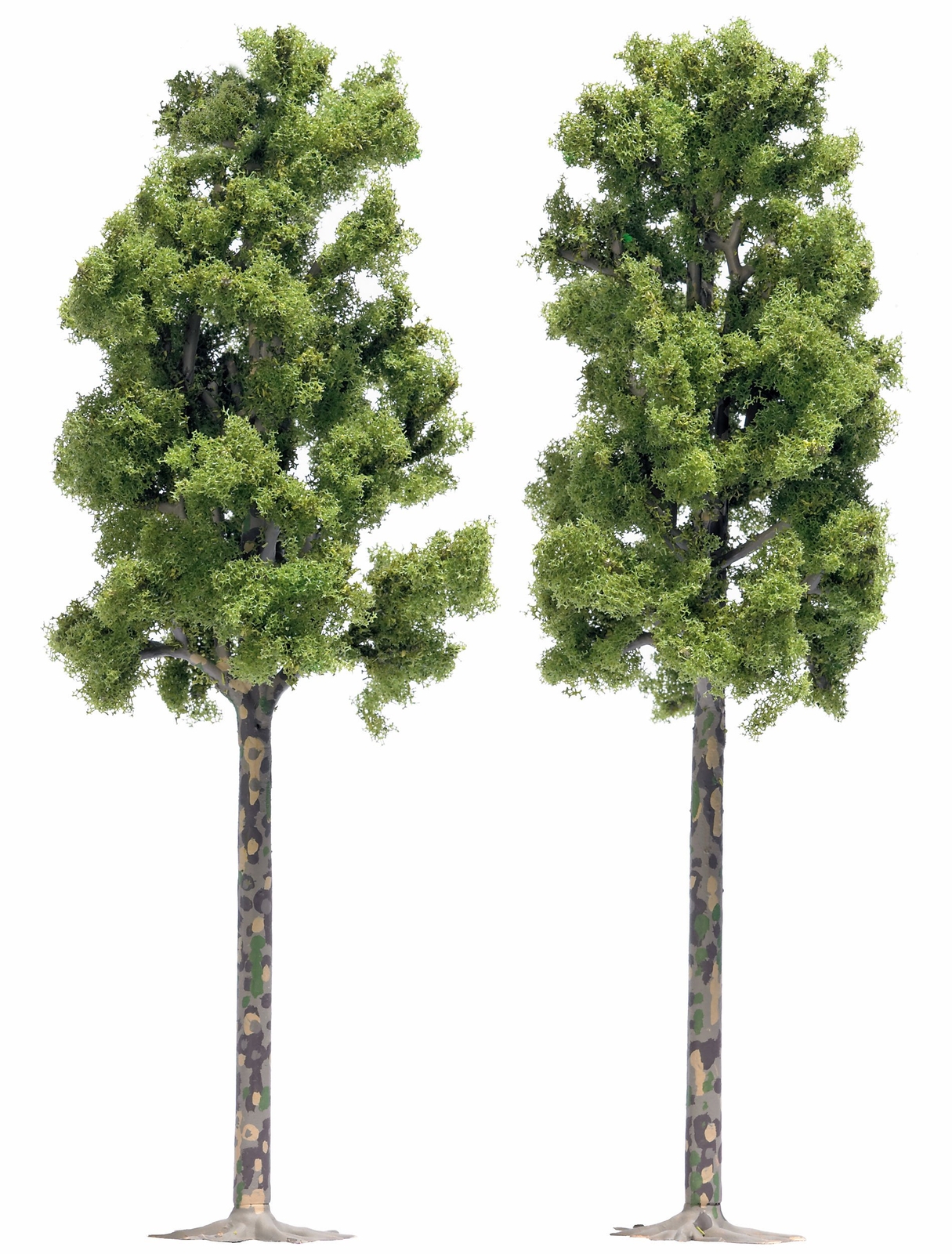 2 Sycamore Trees