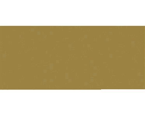 VALLEJO MODEL COLOR OLD GOLD 17ml.Cod.AV70878-173