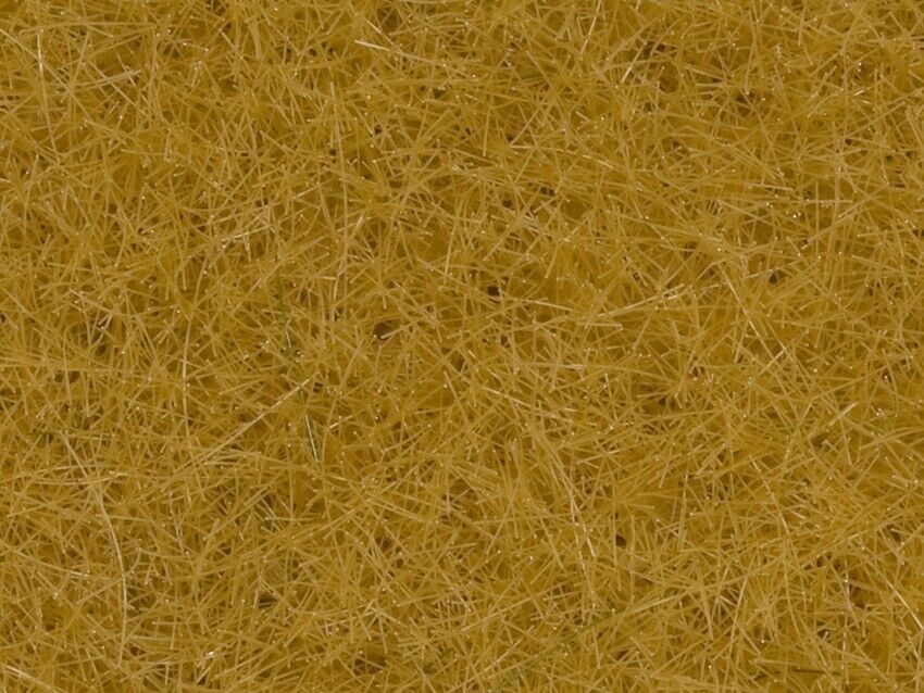 NOCH - Erbe beige - 4 mm - 20 g -  - NOC08362