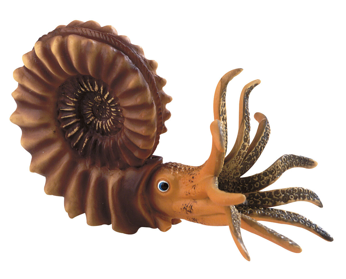 Merchandising Bullyland: Dinosauri - Ammonite