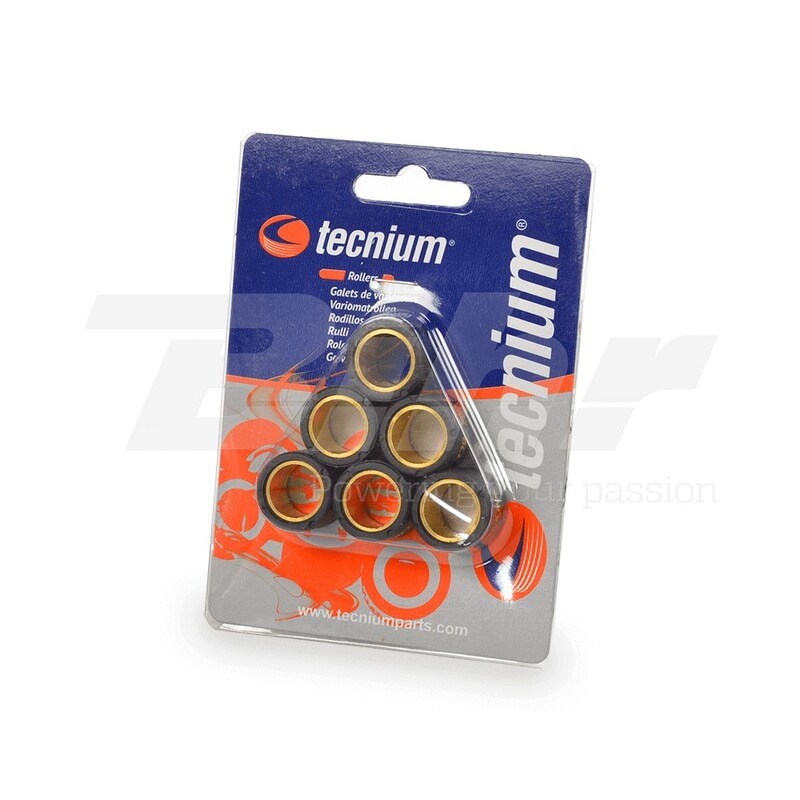 Rulli Variatore TECNIUM 20x17mm 10gr-6 Pezzi per Moto Ricambi