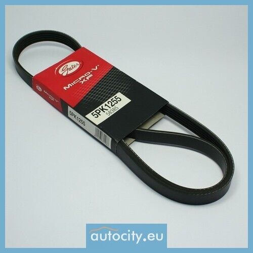 Gates 5PK1255 5PK1253 K015PK1255 Cinghia Poly-V