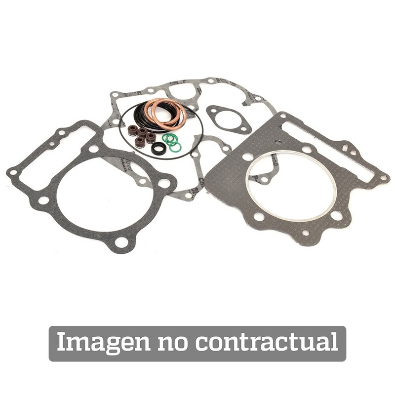 Guarnizione Chiusura Frizione ARTEIN Rotax 123 per Moto Ricambi Moto Accessori