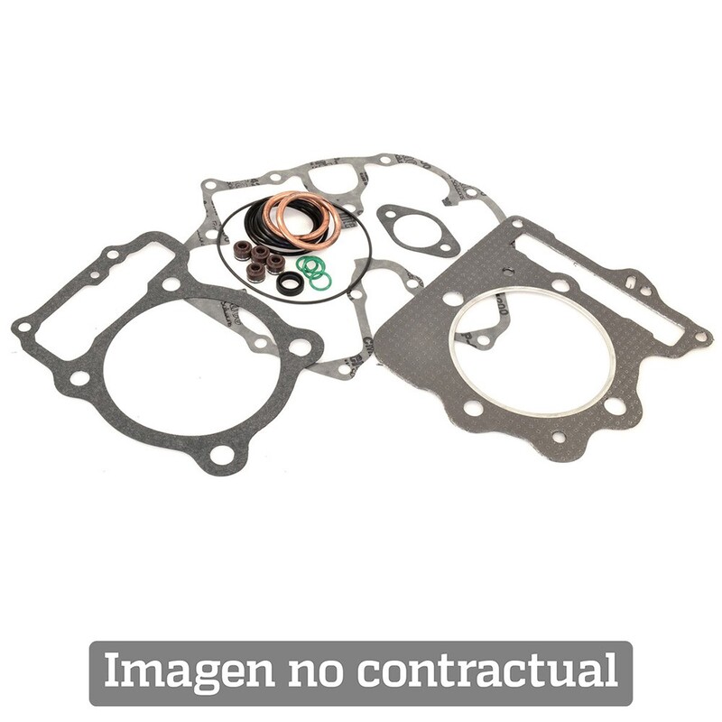 Guarnizione Selettore ARTEIN Cs 4900 p022000000704 per Moto Ricambi Ciclomotore