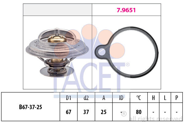 TERMOSTATO FACET 78613