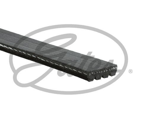 Cinghia Poly-V - GATES 4PK916-890SF