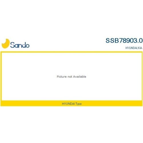 Scatola Guida Sando SSB78903.0 per Kia