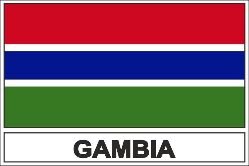 Sticker adesivi adesivo bandiera Gambia WAG