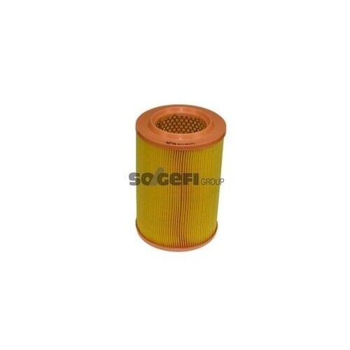 Filtro Aria Purflux A210 per Vag AC