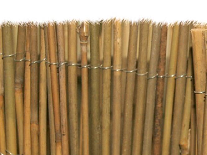 ARELLE BRIXO MISTER BAMBU 200X300