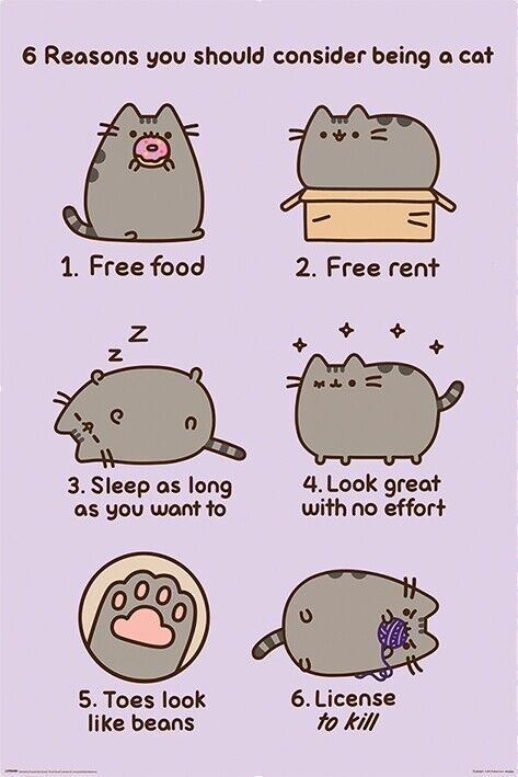 Pusheen Reasons To Be A Cat Maxi Poster 61 x 91.5 cm PYRAMID INTERNATIONAL