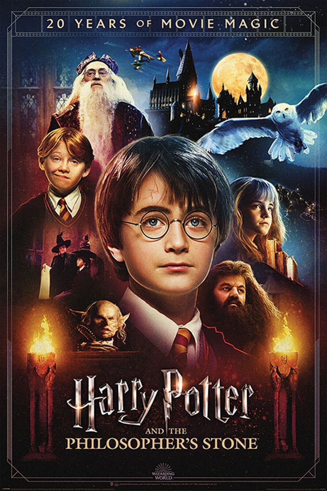 Poster 61x91.5 CM 61x91.4cm Nuovo Sigillato Harry Potter (20 Anni Di Film Magia)