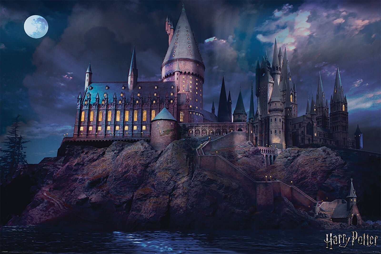 Harry Potter Hogwarts Film Poster 61x91.5 CM 61x91.4cm Nuovo