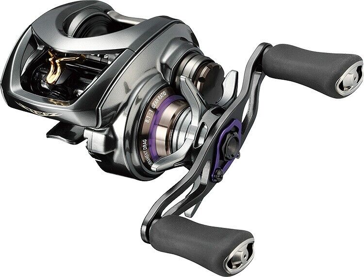 Daiwa 19 STEEZ CT Sv Tw 700XHL 8.1 Sinistro Colata Mulinello