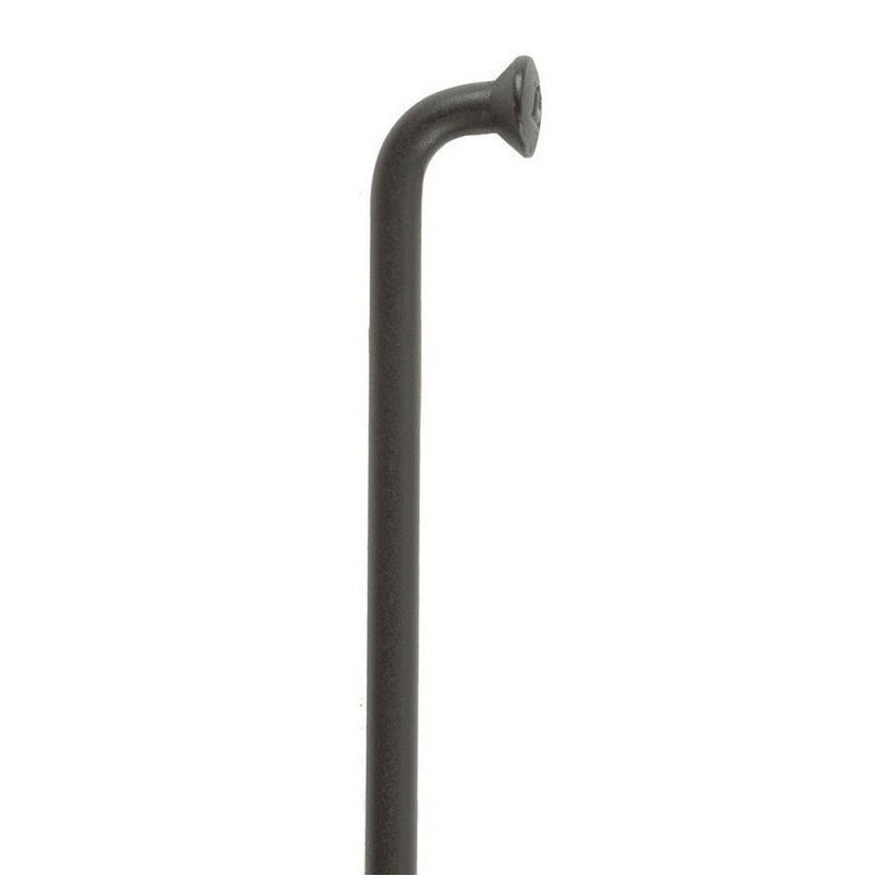 raggio champion m 2 x 258mm senza nipplo nero 2210625805 DT Swiss bicicletta