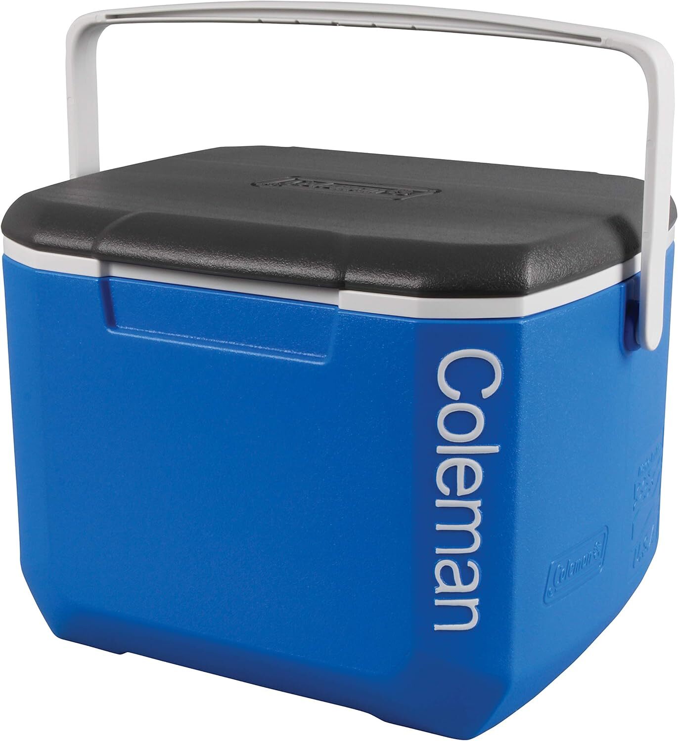 Coleman Performance Cooler 16QT frigo portatile passivo, contenitore termico...
