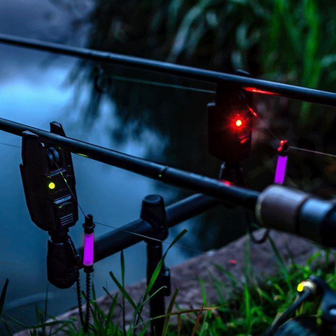 Korum Kbi-R 2-Rod Allarme Presentazione Set / Campione Pesca Bite Allarmi