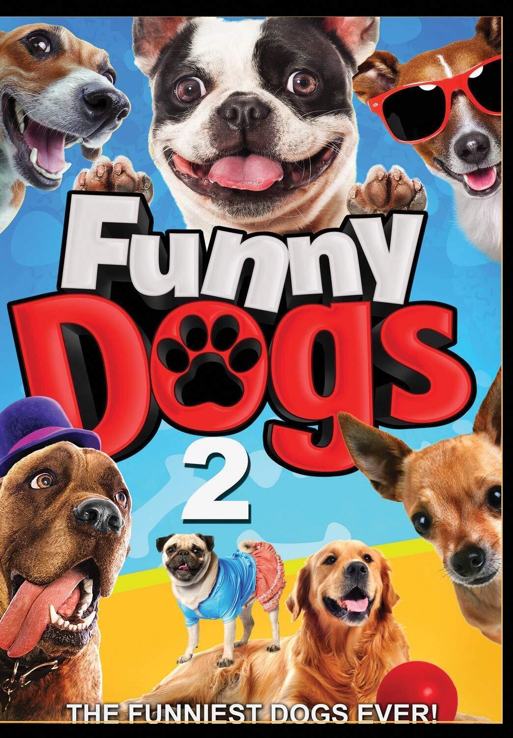 Funny Dogs 2 (DVD) Tony Ryan Cindy Turning KJ Schrock Ricky Iverton Sam Tork