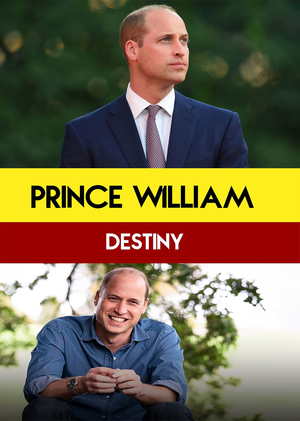 Prince William: Destiny (DVD)