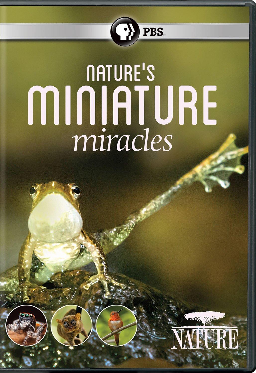 NATURE: Nature's Miniature Miracles (DVD)