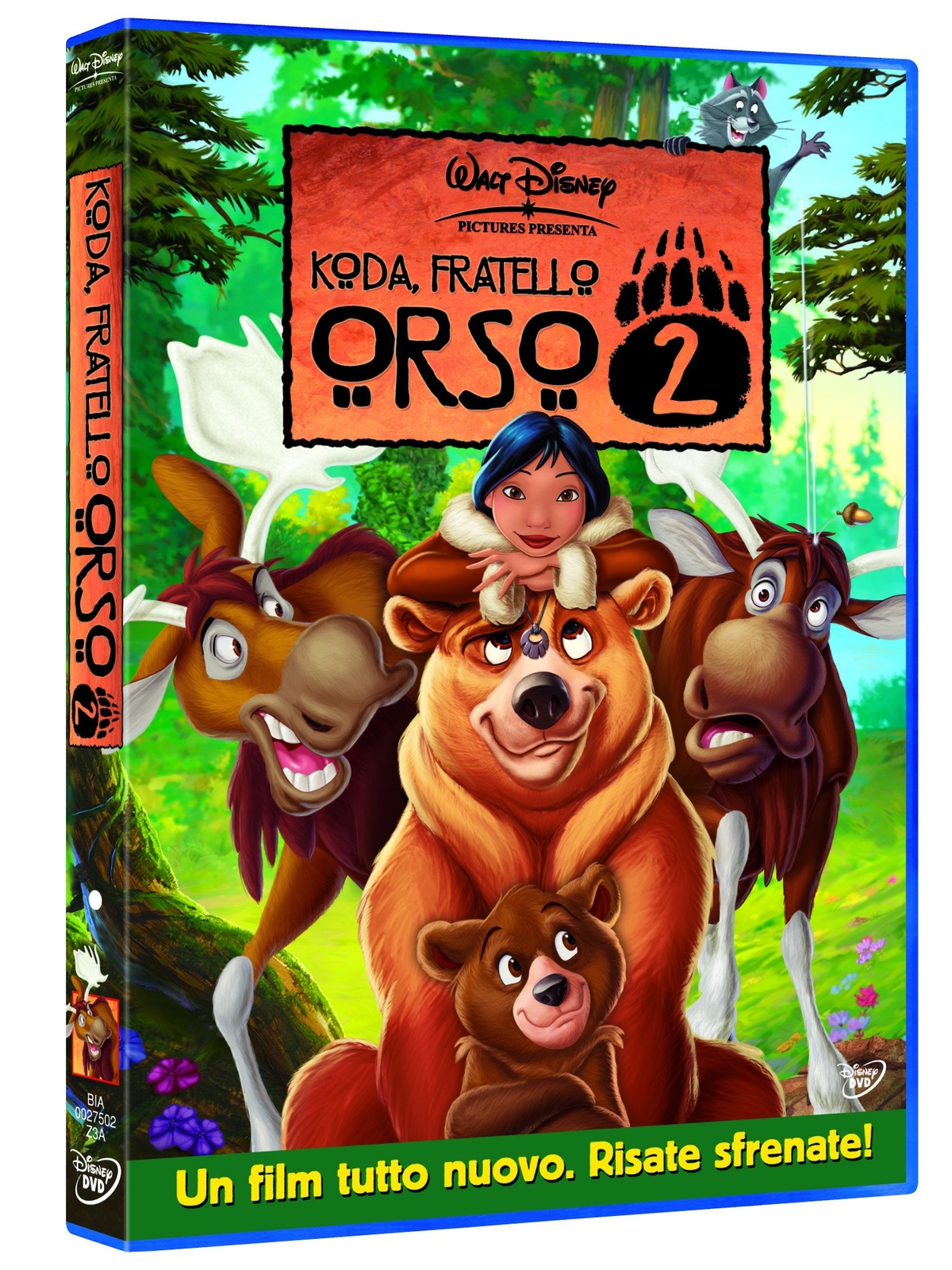 Dvd Koda, Fratello Orso 2
