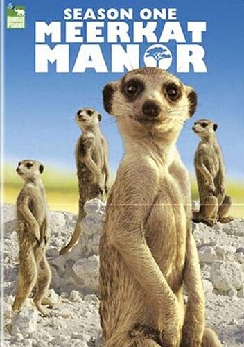Meerkat Manor - Stagione 1 Nuovo DVD