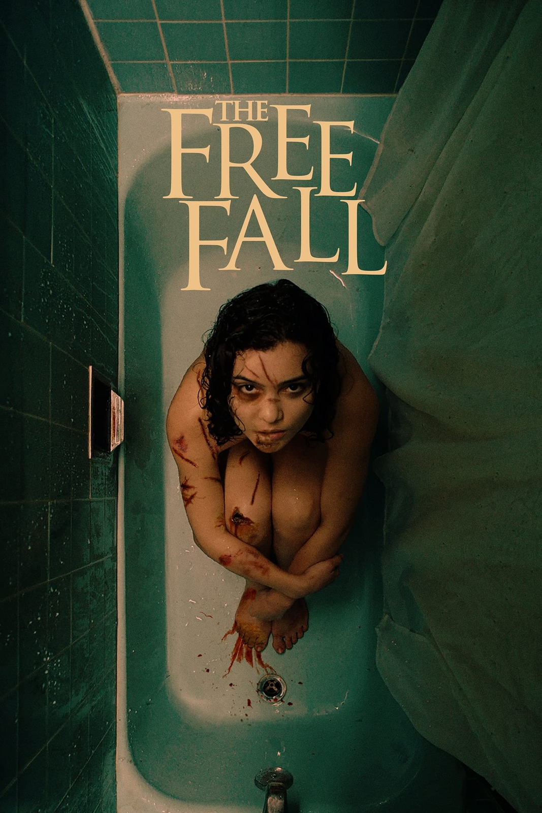 The Free Fall (DVD) Andrea Londo Shawn Ashmore Jane Badler Elizabeth Cappuccino