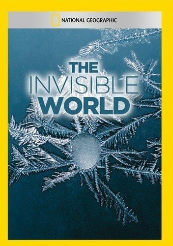 Invisible World, The (DVD) Invisible World