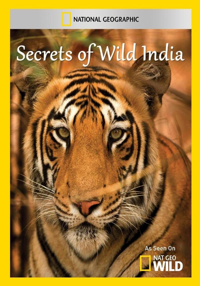 Secrets of Wild India (DVD)