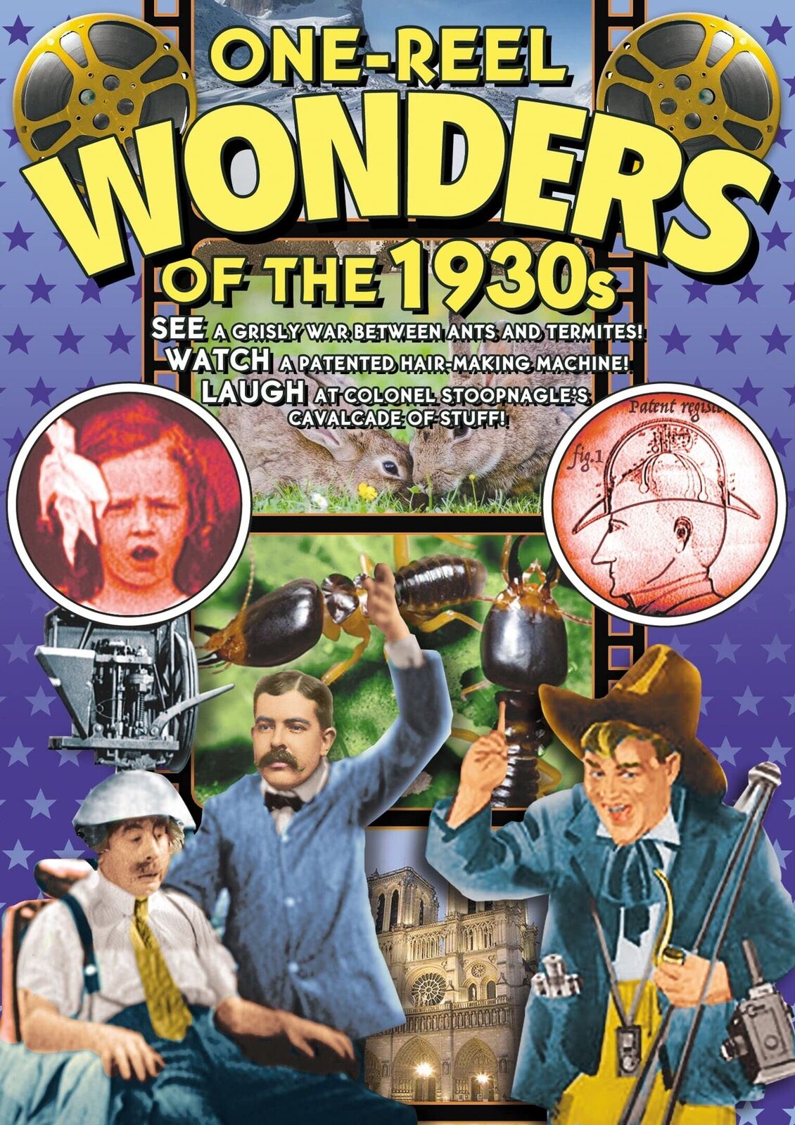 One-Reel Wonders of the 1930s (DVD)